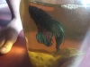 Betta fish (black and purple) color